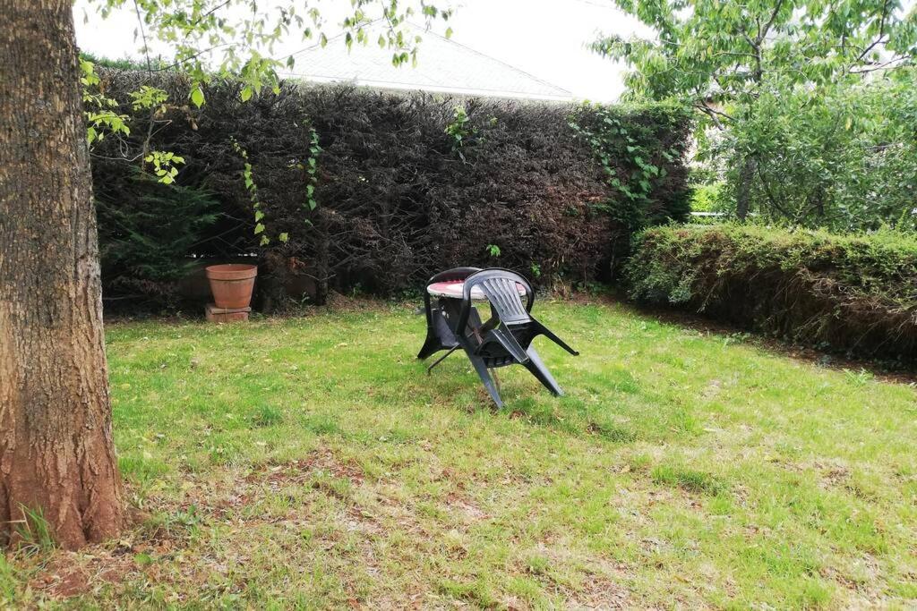 Apartment Avec Jardin A Rodez